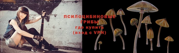 бошки Абаза
