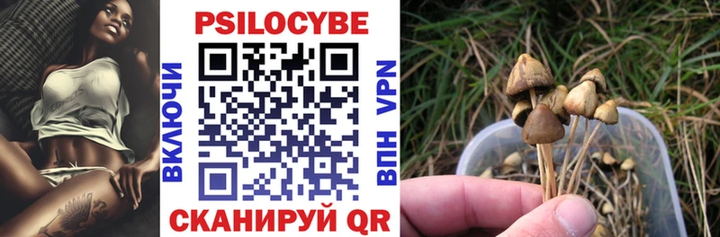 Галлюциногенные грибы Psilocybe Хасавюрт